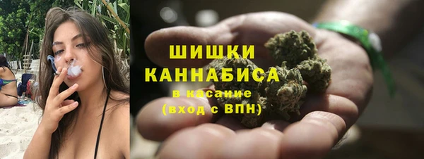 ПСИЛОЦИБИНОВЫЕ ГРИБЫ Аркадак